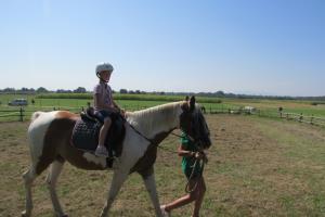 6. Konjeniški tabor konjeniškega društva Središče ob Dravi 4